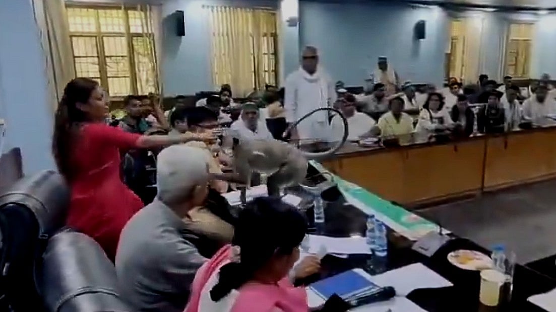 Langur 'Matru' Crashes Baghpat DM's Farmer Meeting, Viral Video Delights Netizens