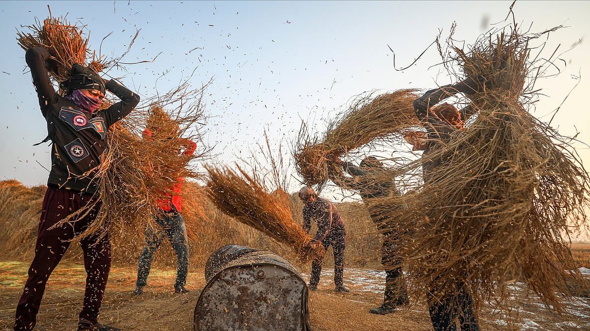India's Labour Question Is Now a Supply Chain Question