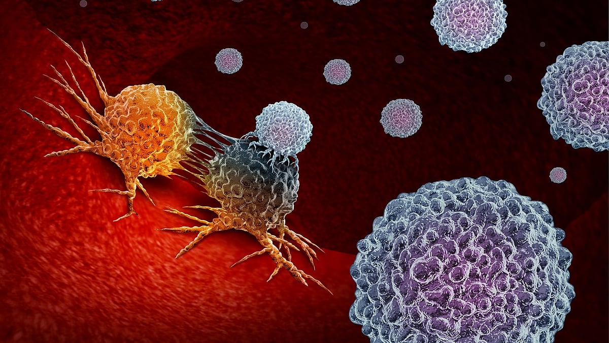 Metabolic Theory of Cancer: Starving Cancer Cells by Targeting Key Nutrients