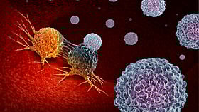 Scientists say cancer cells have an Achilles heel, they can be starved to death