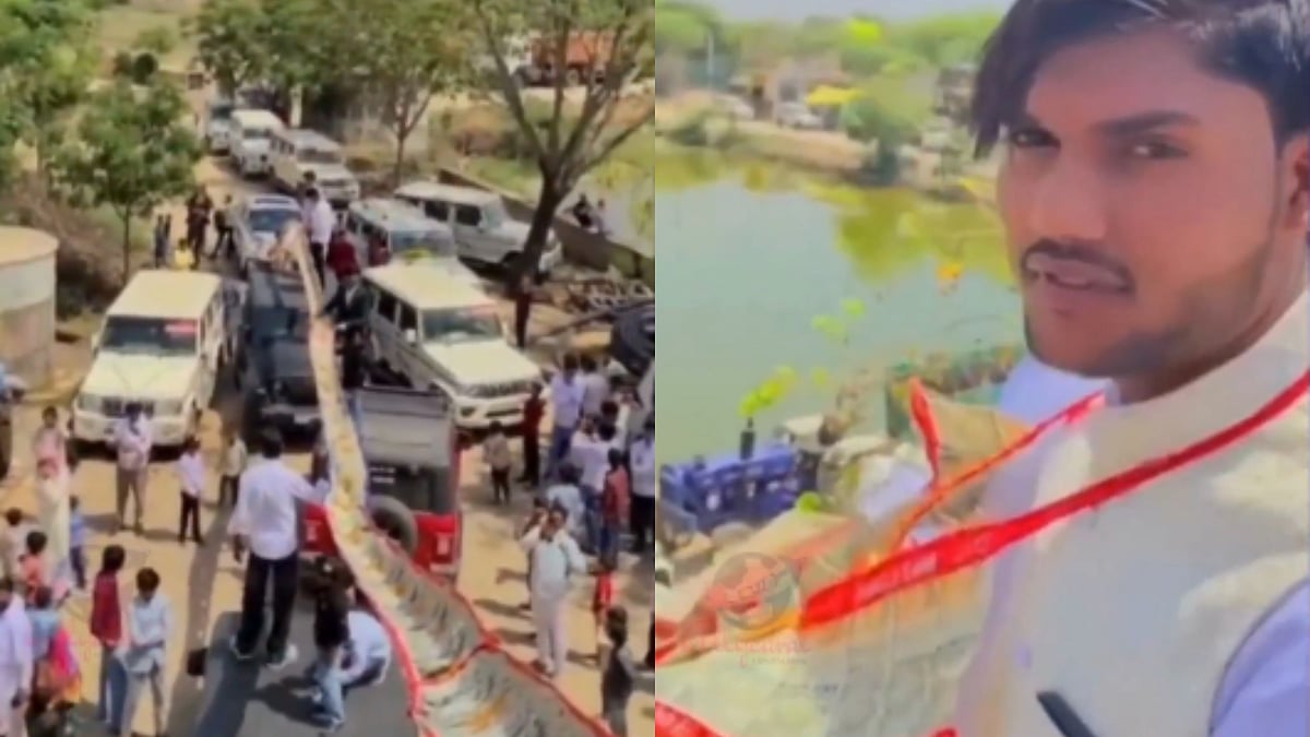 Rajasthani groom climbs ladder to don 100-feet currency garland; video goes viral