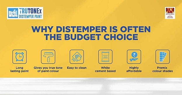 Everything You Need to Know Before Choosing Distemper or Emulsion Paint