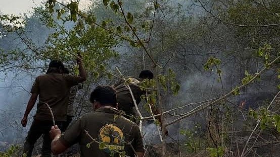 Forest Department Personnel Avert Major Wildfire in Karnataka