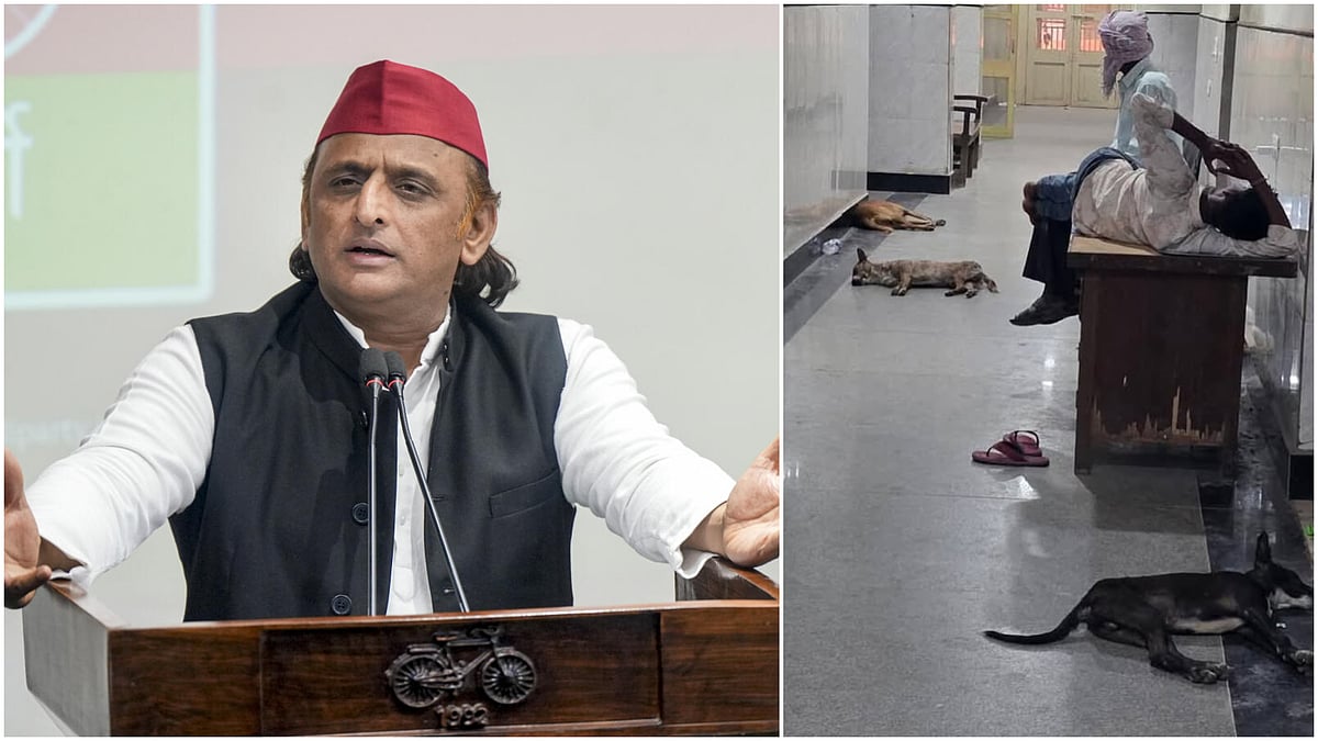 Akhilesh Yadav Slams UP Govt Over Stray Dogs in BHU Hospital Ahead of PM Modi's Varanasi Visit
