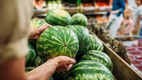 Can one die of watermelon poisoning? Doctors weigh in on rare Mumbai case