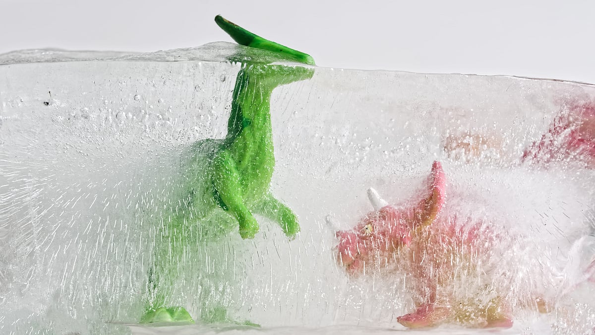 2 DIY experiments using ice