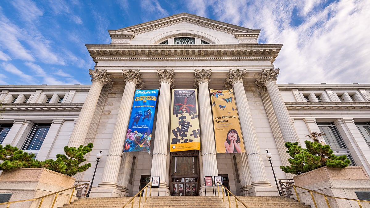 Smithsonian museum: Inside Washington hall of natural wonders and rare gems