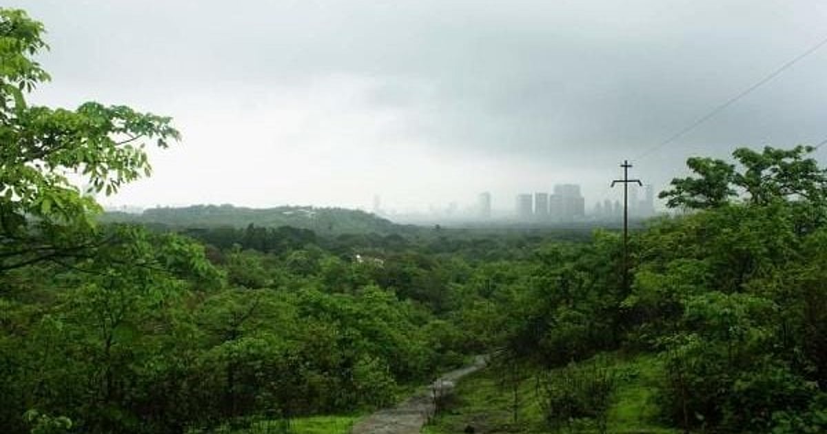 Mumbai Tree Drive: Aarey Colony Plan, Devendra Fadnavis's Initiative