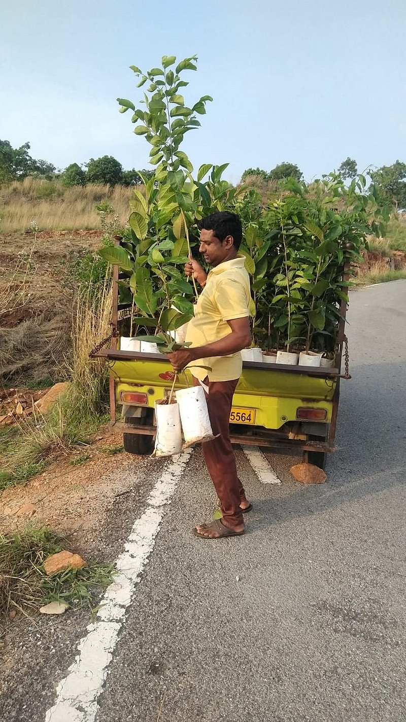 Karighatta Hill: Man plants 3,500 trees, turns Karnataka green haven