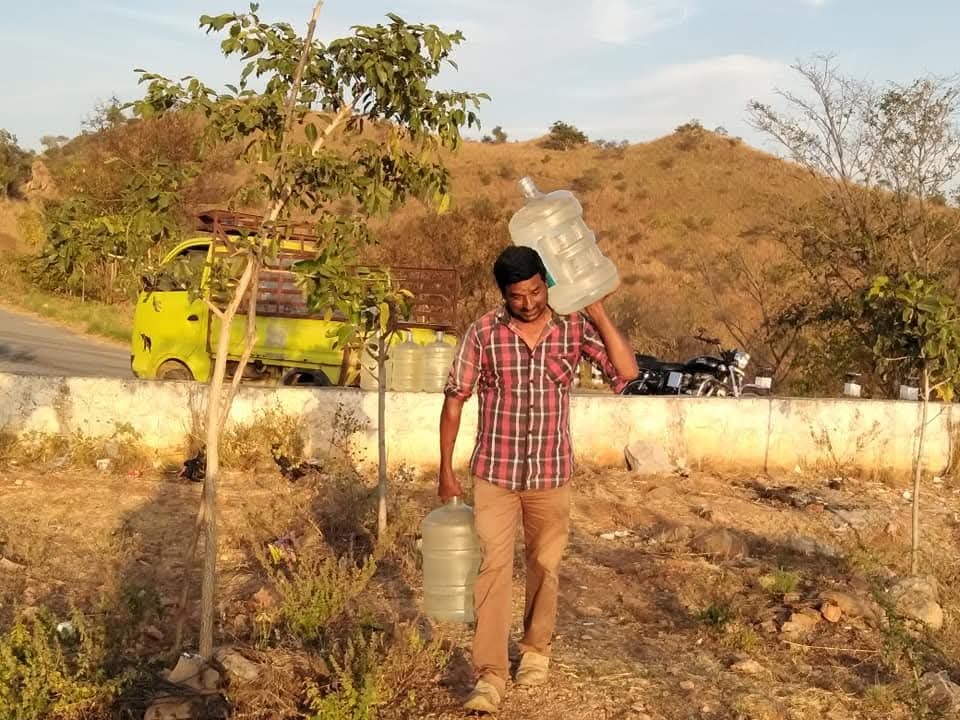 Karighatta Hill: Man plants 3,500 trees, turns Karnataka green haven