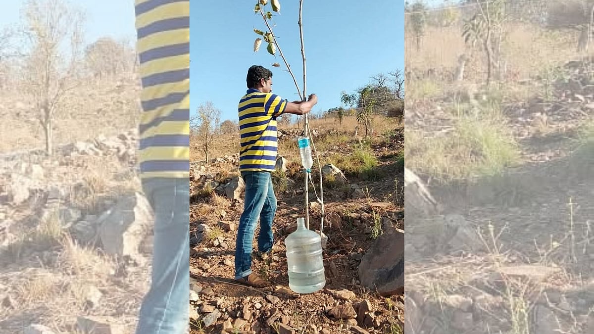 Karighatta Hill: Man plants 3,500 trees, turns Karnataka green haven