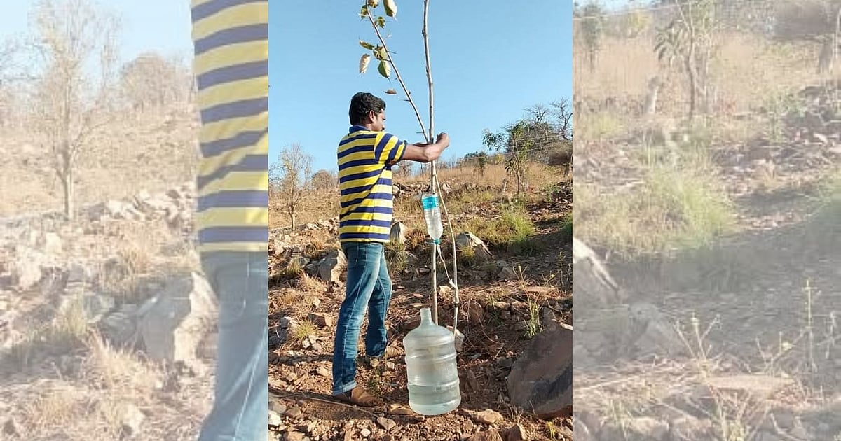 Karighatta Hill: Man plants 3,500 trees, turns Karnataka green haven