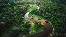 Deforestation lowers threshold for Amazon degradation to below 2°C warming: report