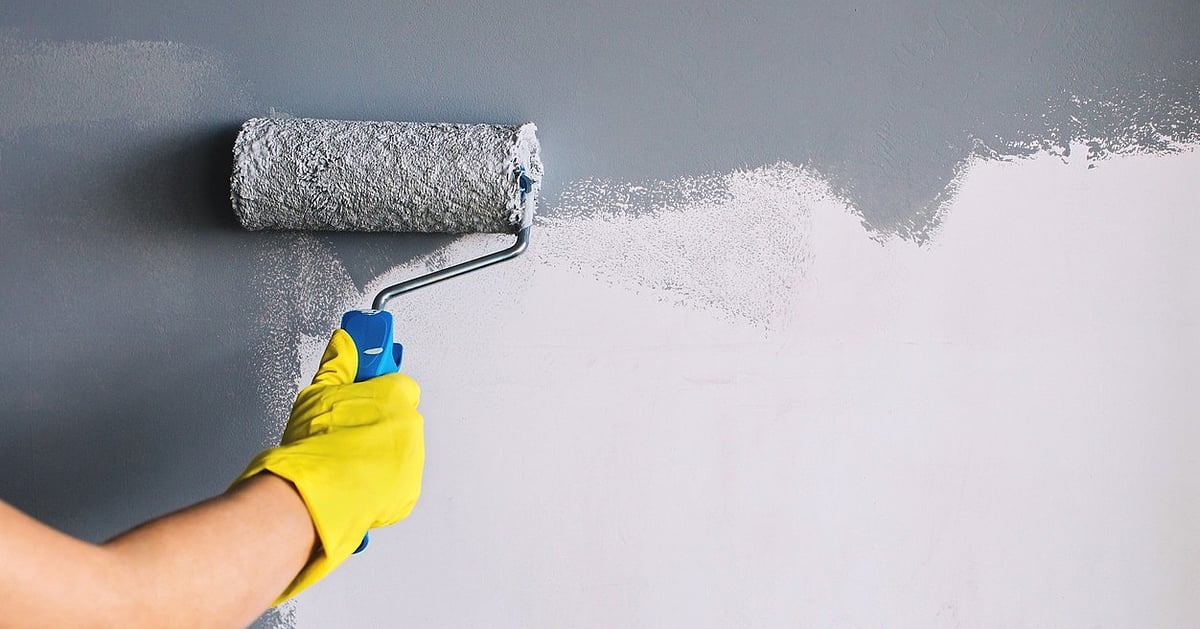 Zydex Paints Launches Breathable Silicate Mineral Paint Technology