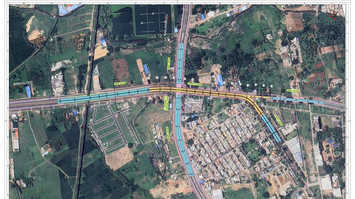 Mysuru News: 22 Tree Species Identified for Flyover Clearance