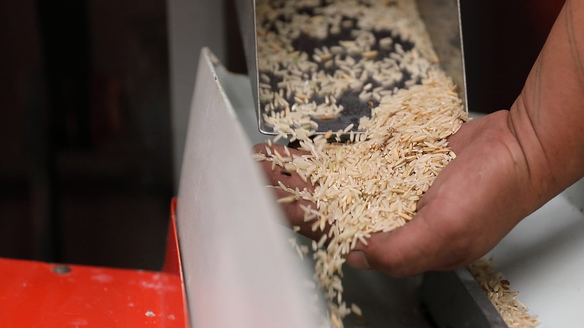 West Bengal rice industry seeks infra push, faster clearances from new ...