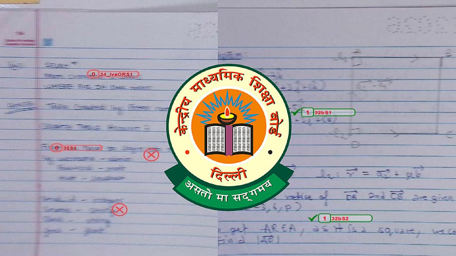 <div class="paragraphs"><p>CBSE opened the revaluation portal. </p></div>