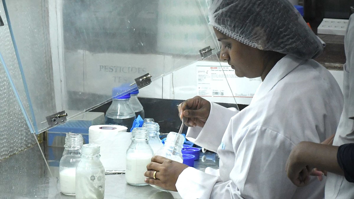 Milk Safety: KMF Finds 0.2% Milk Samples Adulterated
