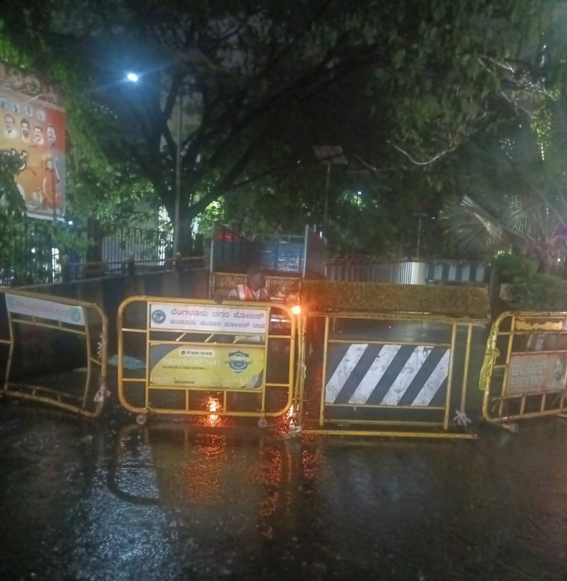 Heavy rain lashes parts of Bengaluru, uproots over 50 trees