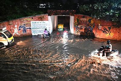 Heavy rain lashes parts of Bengaluru, uproots over 50 trees