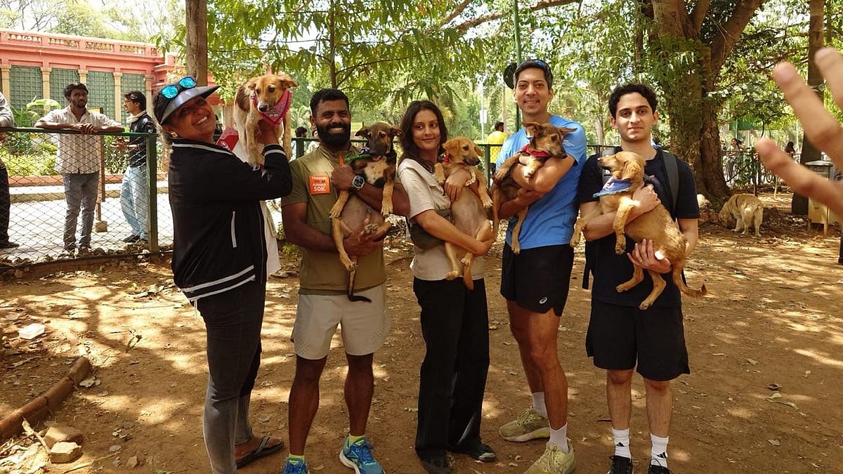 Bengaluru sees rescuers, volunteers promoting indie pet adoption ...