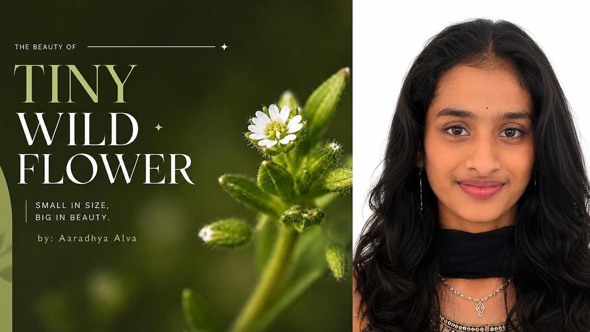 Karnataka: Puttur student turns summer break into nature project, authors ‘Tiny Wild Flower’