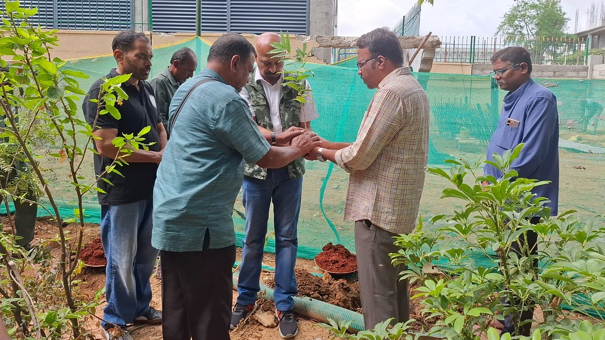 Bengaluru marks World Environment Day with tree drives, green pledges across sectors