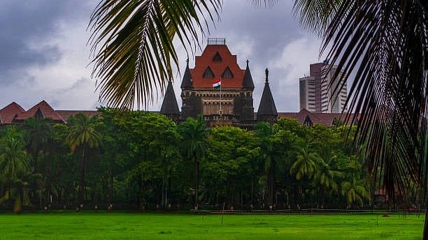 'You need to suffer': Bombay HC denies relief to eatery for serving analogue paneer; cites 'poetic justice'