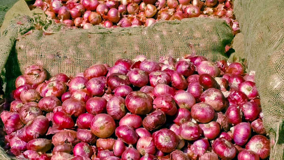 Kanda Express: First onion train set to leave Maharashtra's Lasalgaon for Delhi