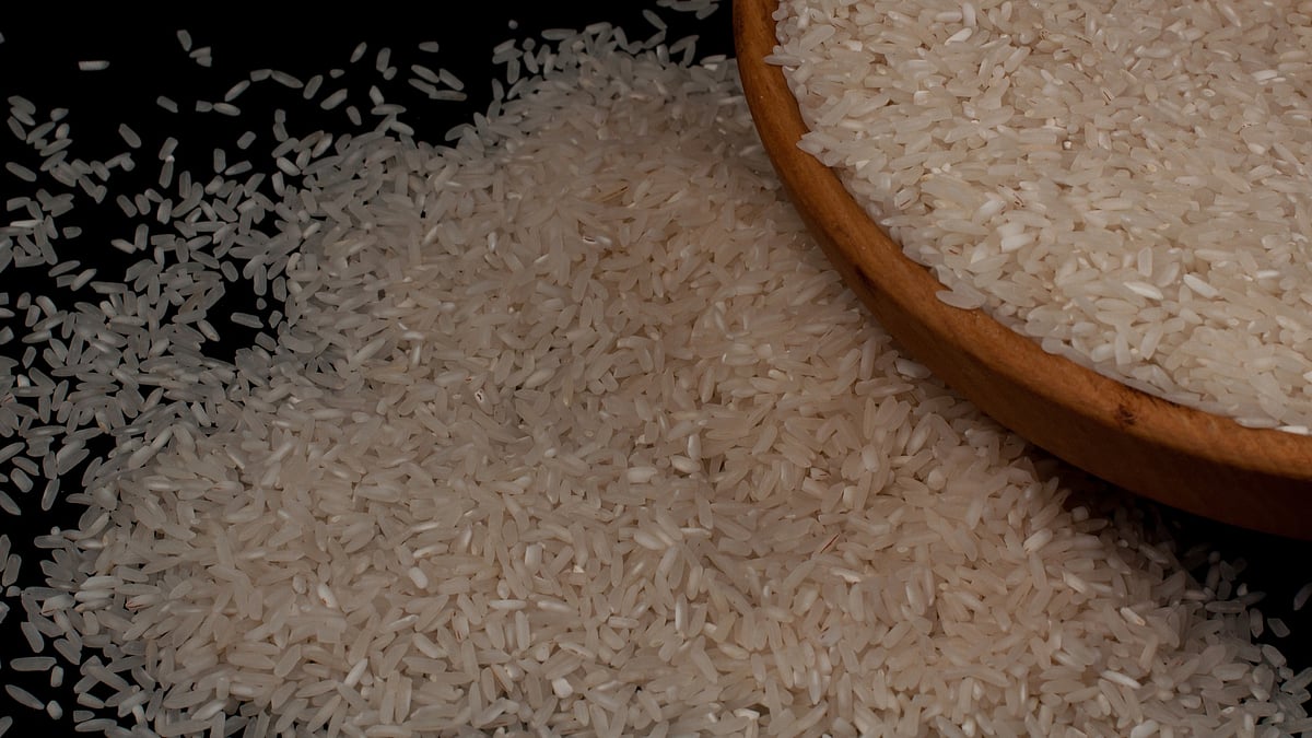 Rice price hike: Superfine rice prices skyrocket in Tamil Nadu ahead