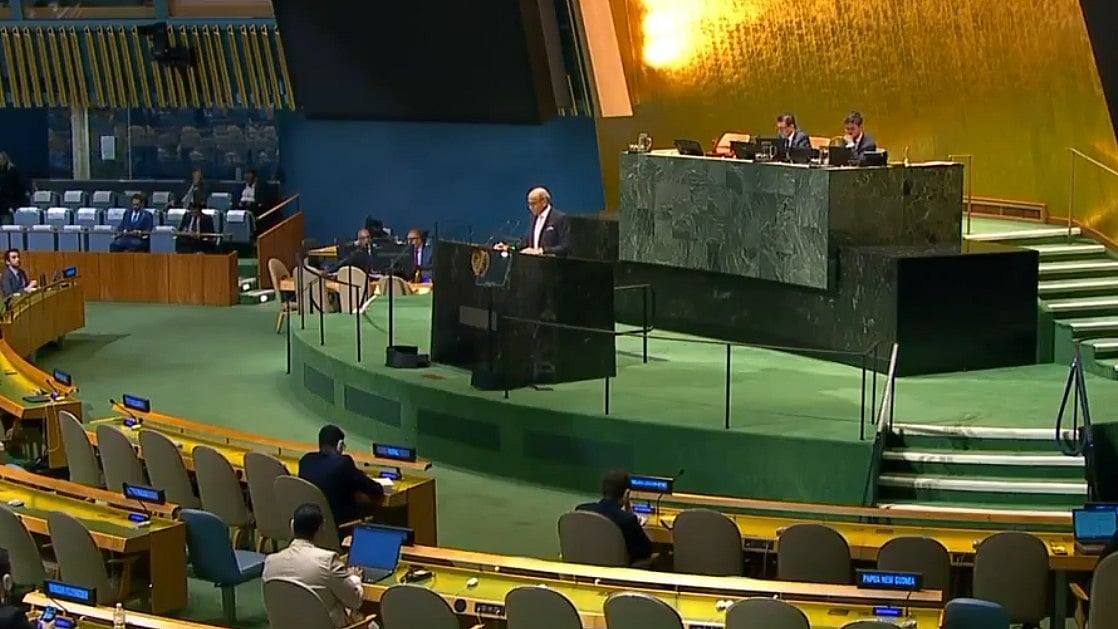 New UNSC permanent members without veto would be 'second-class': India