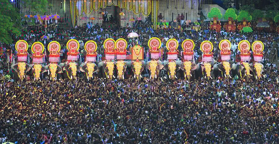 A view of Thrissur Pooram in Kerala. Over 100 elephants are paraded during this annual festival. DH photo