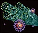Nanoparticles: A buckyball, or C60 can filter bacteria and microorganisms.
