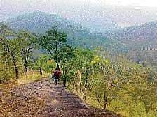 A view of Suruliyar, where the proposed INO project will come up.