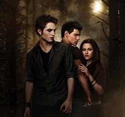 Craters found in the 'New Moon'