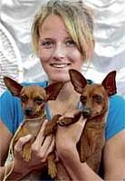 Canine demonstrate dogged determination