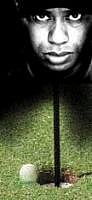 Introspecting: Tiger Woods