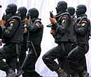 NSG hub, commando unit in every state: PC