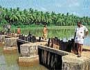Hanging bridge built across Mayipadi lake by Kasargod Block Panchayat. DH photo