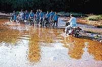 Students crossing the stream at Yennehole in Ajekaru near Hebri. DH Photo