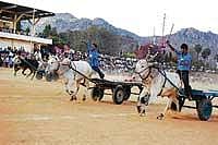 Marching Forward: Bullock carts taking  part in the race organised to mark Sankranti in Kolar on Thursday. DH Photo