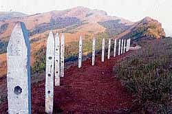 Concrete pillars erected at Kavikalgandi region in Chikmagalur. DH photo