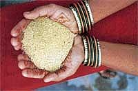 Target is price rise, problem is rice price