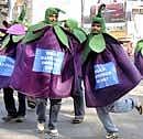 Greenpeace volunteers campaign against consuming of Bt brinjal at Brigade Road, Bangalore on Friday. Photo: Vasu M N