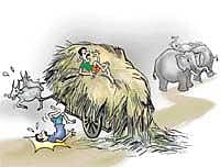 Jumbo scare: Cartman dies as bullocks panic