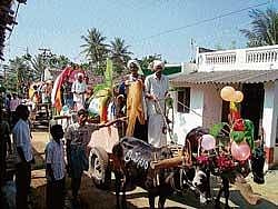 Decorated bullock carts attracted the attention of people at Gramasiri in Shirangala on Sunday. DH photo