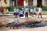 Welcome to B-Grads A typical environ of a school in rural north Karnataka. This particular school is in Koppal district. DH Photo
