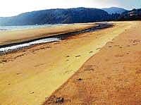 Binaga beach which belongs to the naval base.