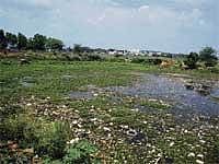 A file photo of a lake in city.