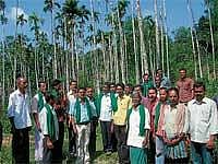 Karnataka Rajya Raitha Sangha Working President Kodihalli Chandrashekar visiting one of the disease infected areca plantations at Kunchebail near Dyavagodi in Sringeri.